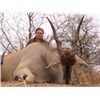 Image 1 : 10-Day Plains Game Hunt for 2 Hunters & 2 Non-Hunters in South Africa - Includes Trophy Fee C