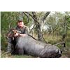 Image 2 : 3-Day Nilgai Bull&Cow BOW Hunt for 2 Hunters at the King Ranch in Texas - Includes Trophy Fee