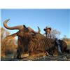 Image 1 : 3-Day Plains Game Hunt for One Hunter and One Non-Hunter in Namibia - Includes Trophy Fees