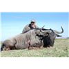 Image 1 : 5-Day Plains Game Hunt for One Hunter & One Non-Hunter in South Africa - Includes Trophy Fees