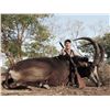 Image 17 : 10-Day Sable Hunt for One Hunter and One Non-Hunter in Zimbabwe - Includes Trophy Fee