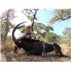 Image 2 : 10-Day Sable Hunt for One Hunter and One Non-Hunter in Zimbabwe - Includes Trophy Fee