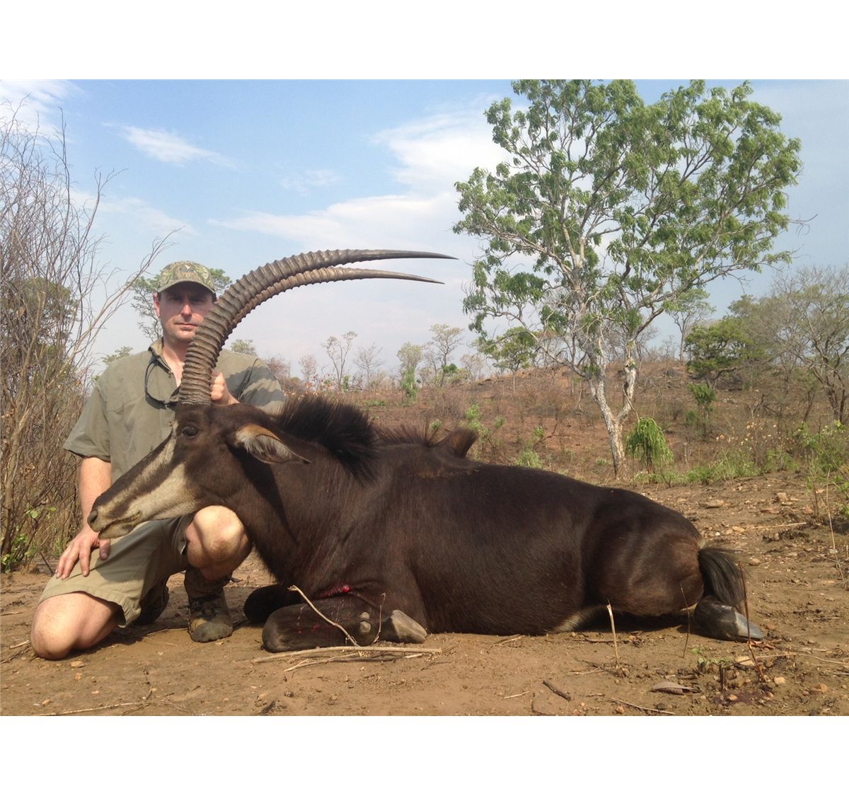 Sable Hunter 10-Day Sable Hunt for One Hunter and One Non-Hunter in Zimbabwe ...