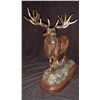 Image 1 : Red Stag Bronze by Rick Taylor