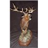 Image 2 : Red Stag Bronze by Rick Taylor