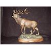 Image 3 : Red Stag Bronze by Rick Taylor
