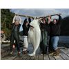 Image 1 : 5-1/2 Day Fishing Trip for One Angler in Alaska