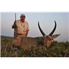 Image 1 : 7-Day Sable and Plains Game Hunt for One Hunter and One Non-Hunter in Zambia - Includes Trophy Fees