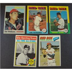 1970's Star Card Lot  Ted Williams, Yaz & more.