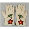 Image 1 : Plateau Gauntlets