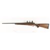 Image 2 : Tikka Mdl: T3 Cal: 6.5 X 55 SN: 291492