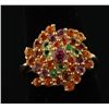 Image 1 : 10K Multi-Gemstone Ring