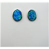 Image 1 : Charming Ladies Opal Earrings