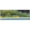 Image 2 : Limited Edition Fine Art Print