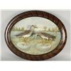 Image 1 : Antique Shadowbox Bird Mount