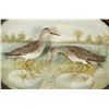 Image 3 : Antique Shadowbox Bird Mount