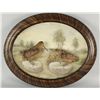 Image 1 : Antique Shadowbox of Bird Mounts