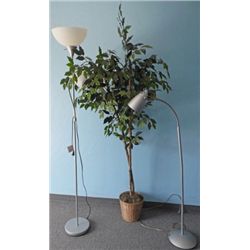 Two Floor Lamps and a artificial Ficus Tree in