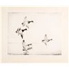 Image 1 : In Dropping Flight