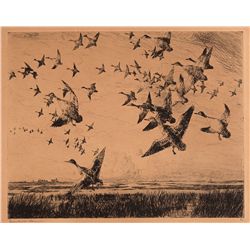 Morning Flight #71/150