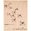 Image 1 : Dropping Broadbill