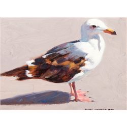 Gull