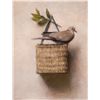 Image 1 : Dove