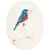 Image 1 : Eastern Bluebird