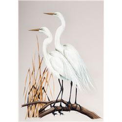 Great American Egret Pair