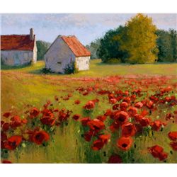 Fields of Provence