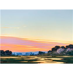 Wetlands