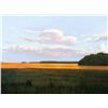 Image 1 : Evening Shadows