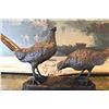 Image 3 : Pair of Pheasants Bronze Sculpture
