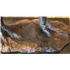 Image 3 : Ostrich Bronze Sculpture