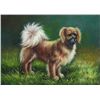 Image 1 : 5 x 7 Oil on Board ~Playful puppy in field~