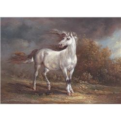 5x7 Oil on Board Depiciting Wild Mustang
