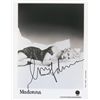 Image 1 : Madonna