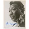 Image 1 : Muddy Waters