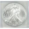 Image 2 : 2001 SILVER AMERICAN EAGLE ICG MS69