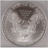 Image 3 : 1995 SILVER AMERICAN EAGLE ICG MS69
