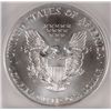 Image 3 : 1996 SILVER AMERICAN EAGLE ICG MS69