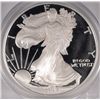 Image 2 : 2006-W PROOF SILVER AMERICAN EAGLE PCGS PR 70 DCAM