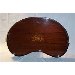 MAHOGANY KIDNEY SHAPED TRAY, having brass handles and central motif. 60 - 80...