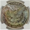 Image 3 : 1904-O MORGAN DOLLAR NGC MS63 TONED