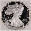 Image 2 : 2013-W PROOF AMERICAN SILVER EAGLE, NGC PF-69 ULTRA CAMEO