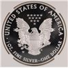Image 3 : 2013-W PROOF AMERICAN SILVER EAGLE, NGC PF-69 ULTRA CAMEO