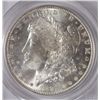 Image 2 : 1891 MORGAN DOLLAR PCGS MS 64