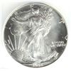 Image 2 : 1992 SILVER AMERICAN EAGLE ICG MS69