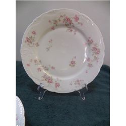 6-Limoges Dinner Plates