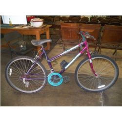 Roadmaster Mt. Climber